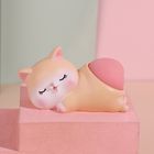 Cat Bouncy Bottom Toy