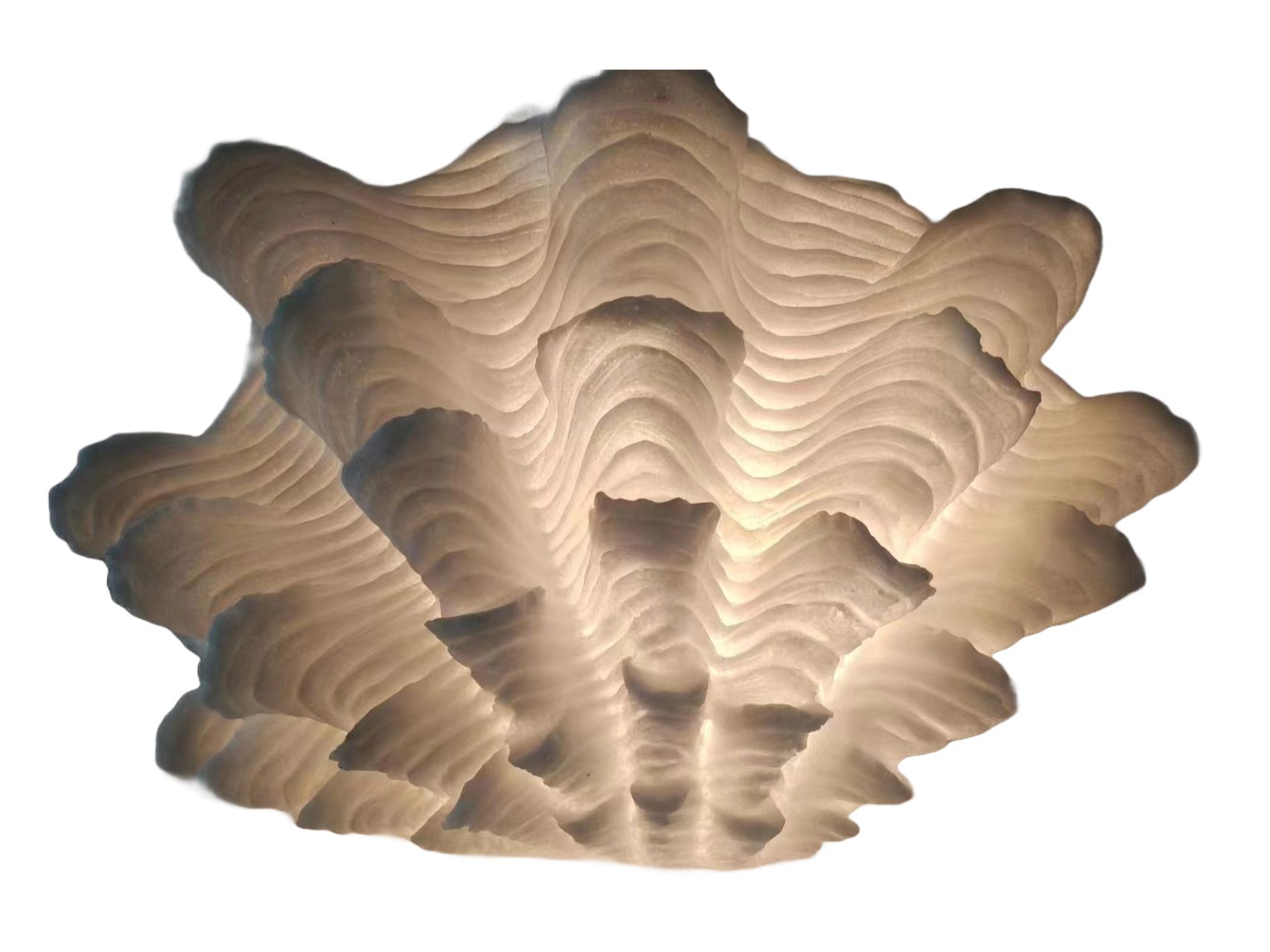 Ocean Allure Lamps