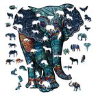 Wooden Puzzles-Shaped 300pcs