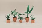 Paper Plants