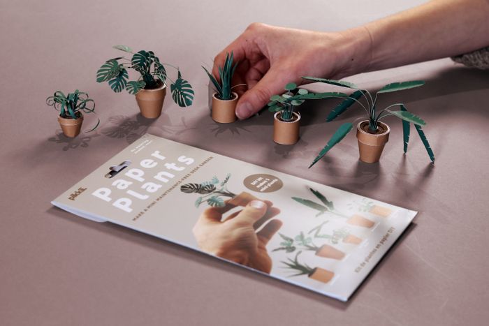 Paper Plants