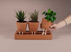 The Self Care Planter Trio