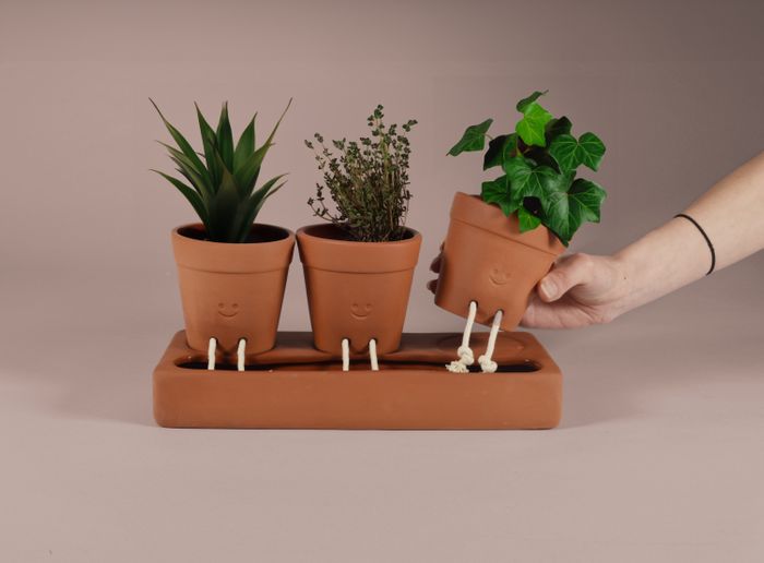 The Self Care Planter Trio