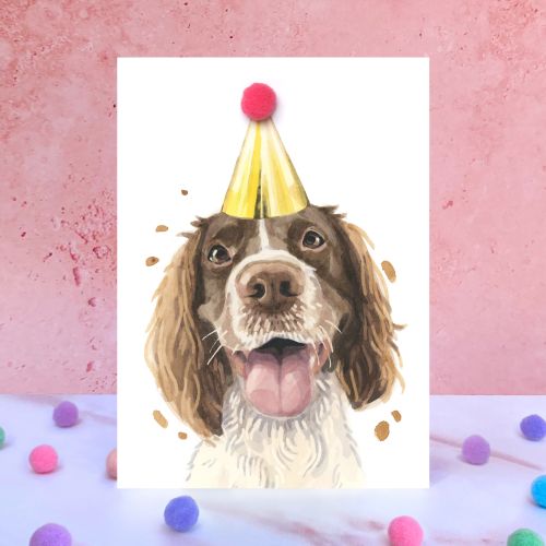 Pompom Birthday Dog Range