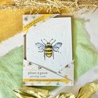 Plantable Greeting Cards Multipack in Elephant Poo Packaging