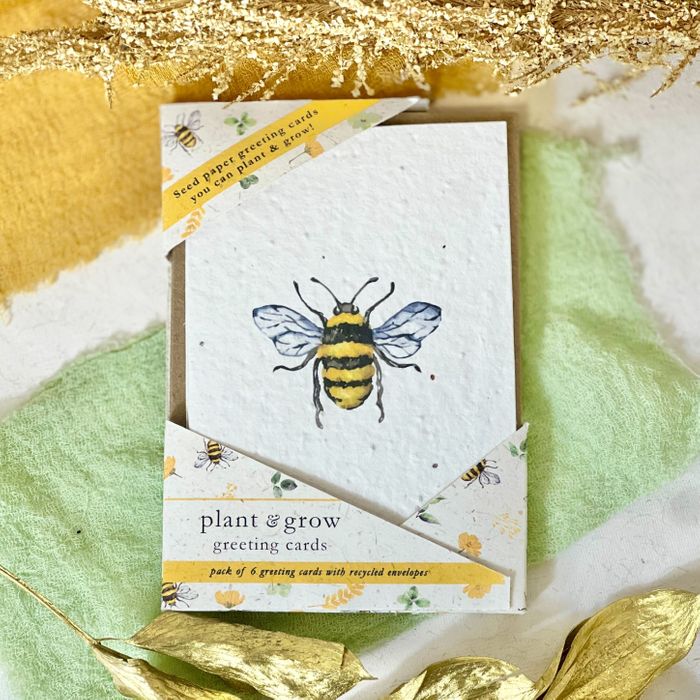 Plantable Greeting Cards Multipack in Elephant Poo Packaging