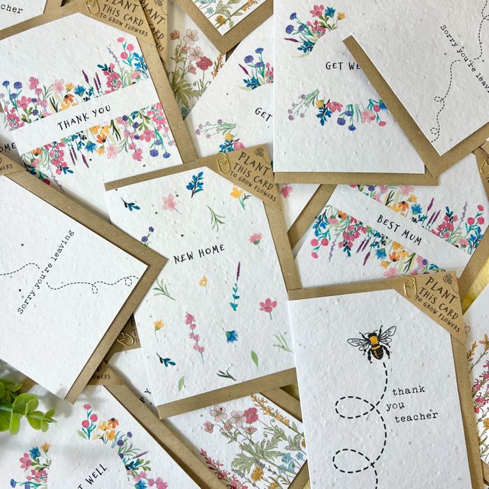 Plantable Greeting Cards