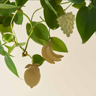 Cute Fruit Banana set of 3 decorations