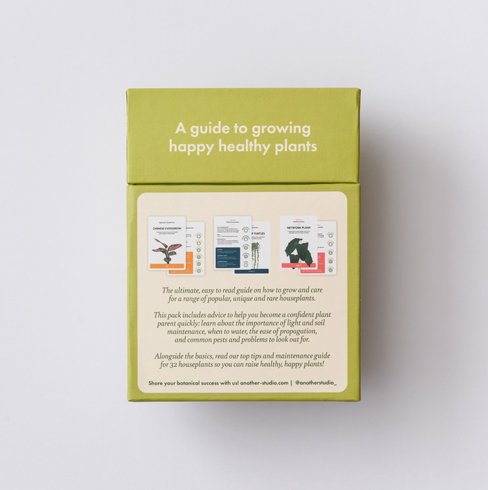Houseplant Care Cards - Edition 2