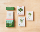 Houseplant Care Cards