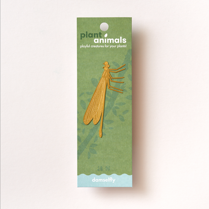 Plant Animal Damselfly