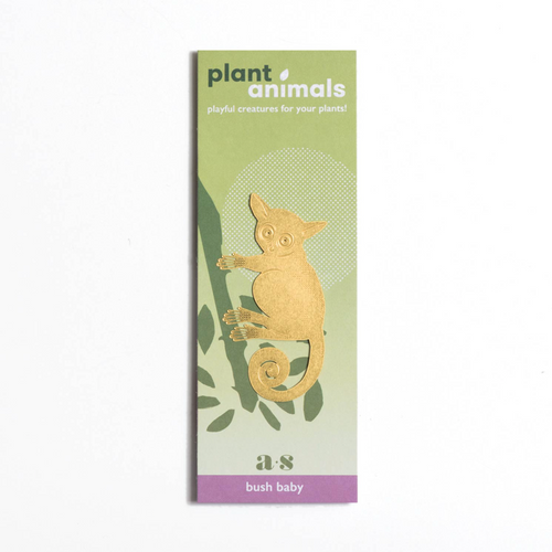 Plant Animal Bush Baby