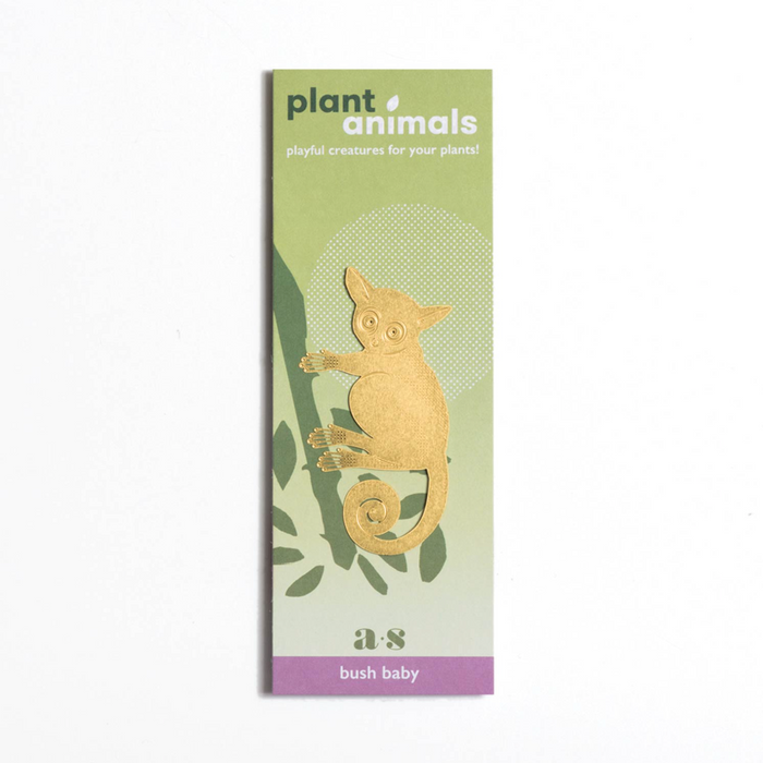 Plant Animal Bush Baby