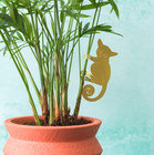 Plant Animal Bush Baby