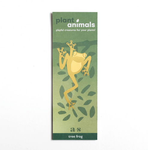 Plant Animal Tree Frog