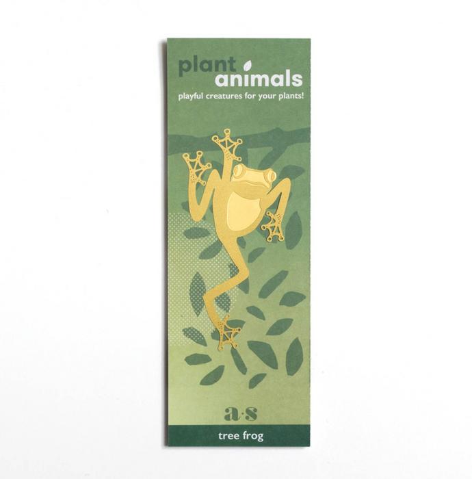 Plant Animal Tree Frog