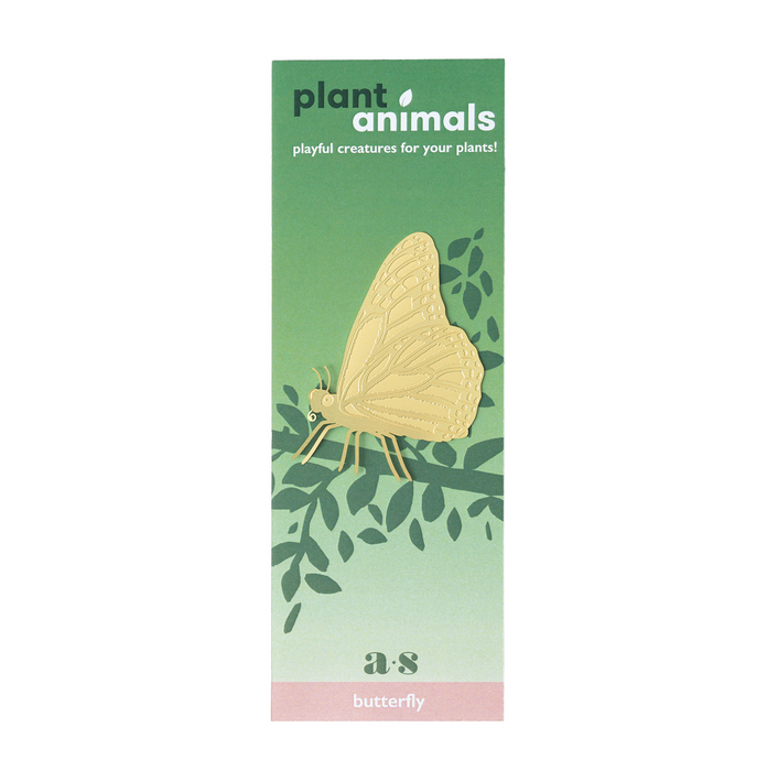 Plant Animal Butterfly
