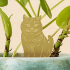 Plant Animal Cat ~ Pet edition