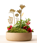 Brass Blooms