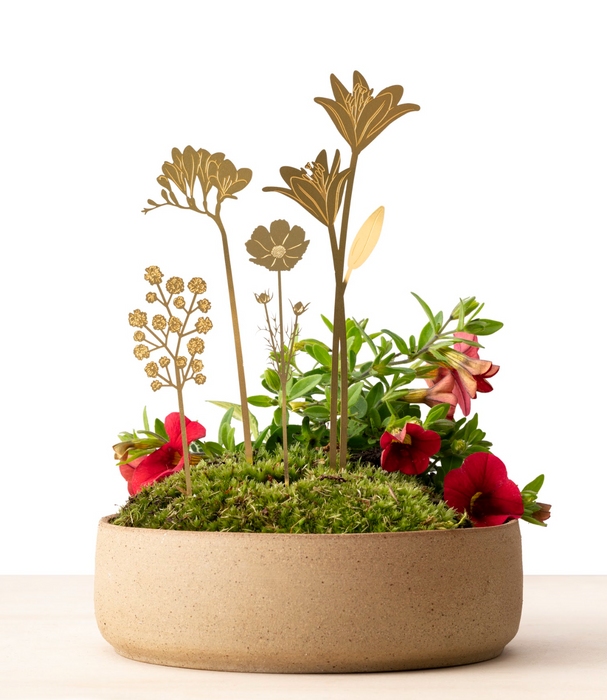 Brass Blooms