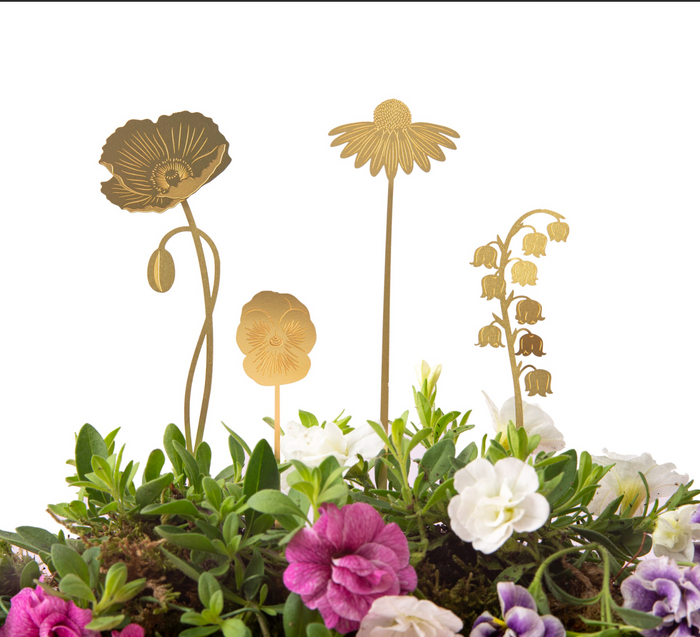 Brass Blooms