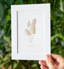 Botanical Prints