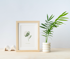 Botanical Prints