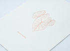 Botanical Prints