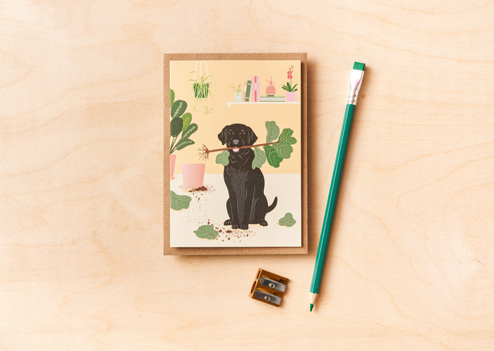 Plants & Pets greetings cards