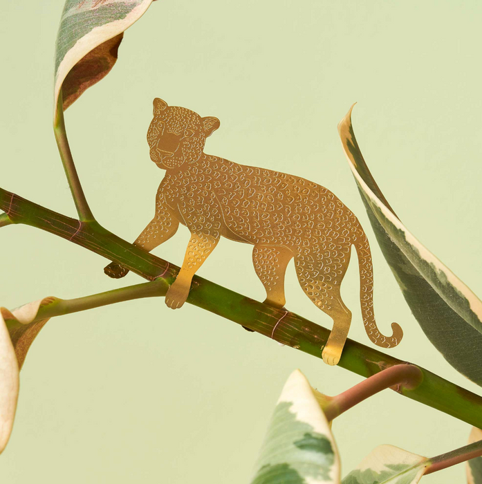Plant Animals Large