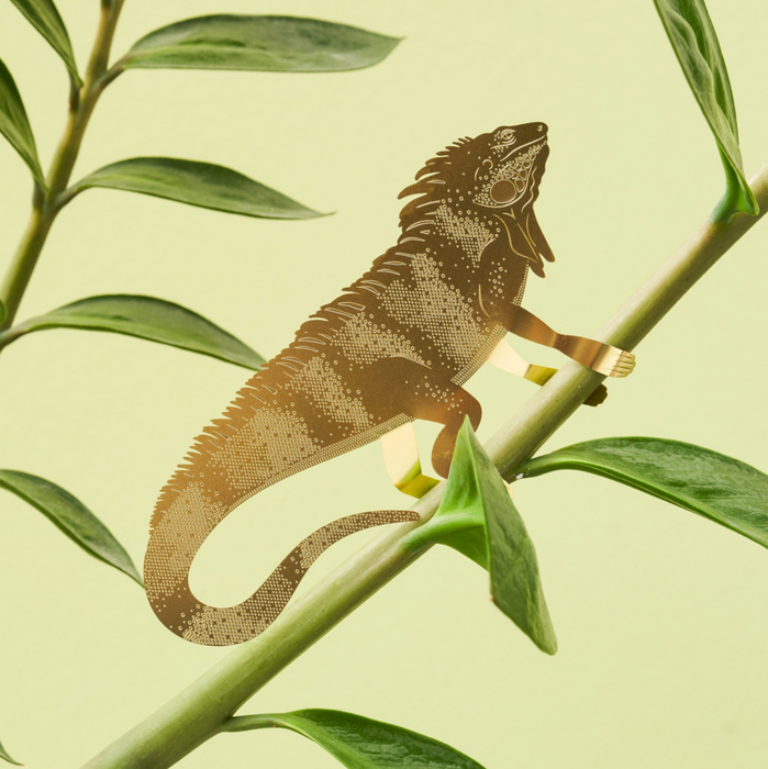 Plant Animals Large