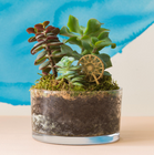 Mini Models - Plant Decor
