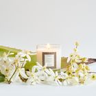 Oak Hills Cashmere Home Candle
