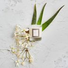 Oak Hills Cashmere Home Candle