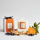 Oak Hills Mandarin & Ginger Home Candle