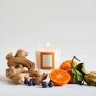 Oak Hills Mandarin & Ginger Home Candle