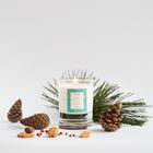 Oak Hills Pine & Pink Pepper Home Candle