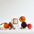 Oak Hills Sandalwood & Cedar Home Candle