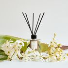 Oak Hills Cashmere Reed Diffuser