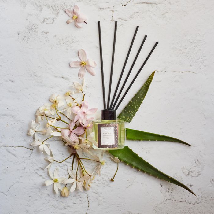 Oak Hills Cashmere Reed Diffuser