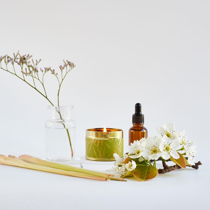 Oak Hills Lemongrass & Verbena Tin Candle