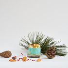 Oak Hills Pine & Pink Pepper Tin Candle