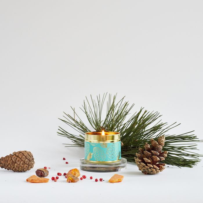 Oak Hills Pine & Pink Pepper Tin Candle