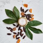 Oak Hills Tonka Bean & Amber Tin Candle