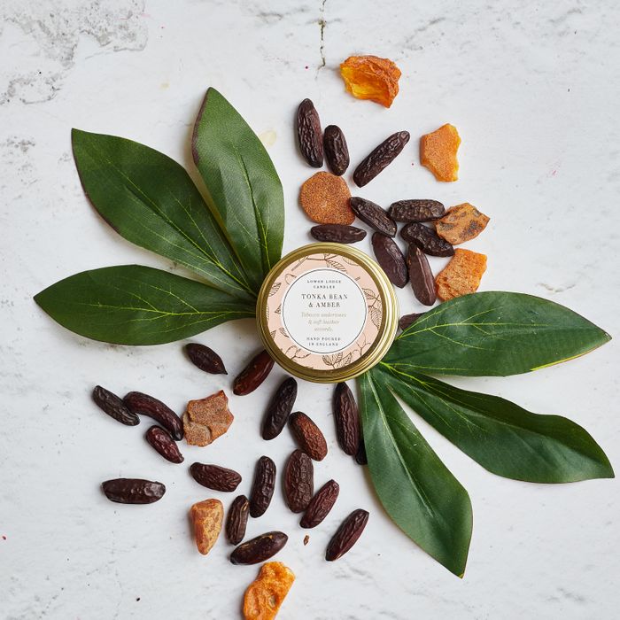 Oak Hills Tonka Bean & Amber Tin Candle