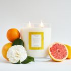 Oak Hills Grapefruit 2kg Candle