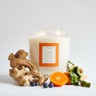 Oak Hills Mandarin & Ginger 2kg Candle