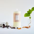 Oak Hills Tonka Bean & Amber Pillar Candle