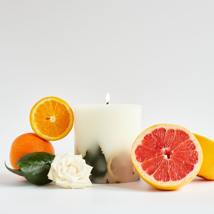 Oak Hills Grapefruit Medium Botanical Candle