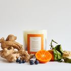 Oak Hills Mandarin & Ginger Medium Botanical Candle